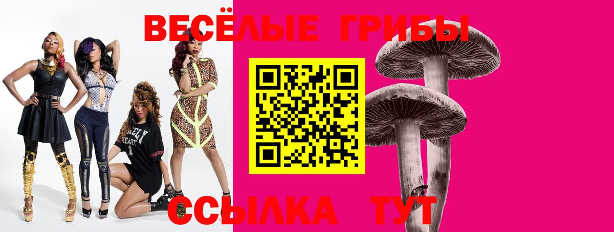 Канаш  Галлюциногенные грибы ЛСД  Вход с VPN  Галлюциногенные грибы ЛСД 